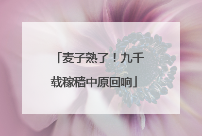 麦子熟了！九千载稼穑中原回响