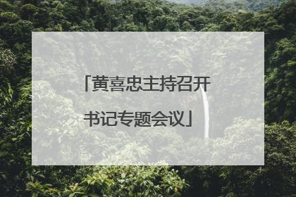 黄喜忠主持召开书记专题会议