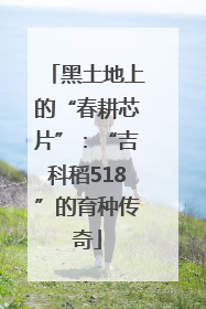 黑土地上的“春耕芯片”：“吉科稻518”的育种传奇