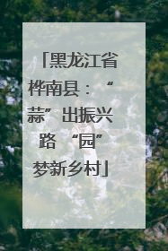 黑龙江省桦南县：“蒜”出振兴路 “园”梦新乡村