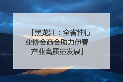 黑龙江：全省性行业协会商会助力伊春产业高质量发展