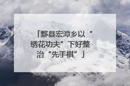 黟县宏潭乡以“绣花功夫”下好整治“先手棋”