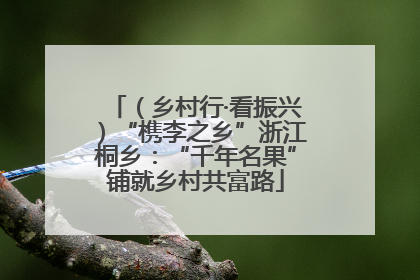 （乡村行·看振兴）“槜李之乡”浙江桐乡：“千年名果”铺就乡村共富路