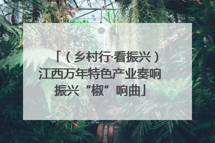 （乡村行·看振兴）江西万年特色产业奏响振兴“椒”响曲