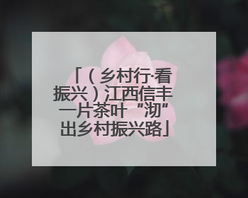 （乡村行·看振兴）江西信丰一片茶叶“沏”出乡村振兴路