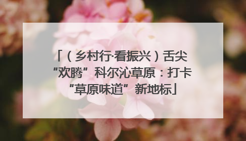 （乡村行·看振兴）舌尖“欢腾”科尔沁草原：打卡“草原味道”新地标