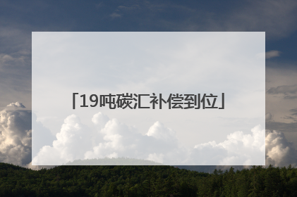 19吨碳汇补偿到位