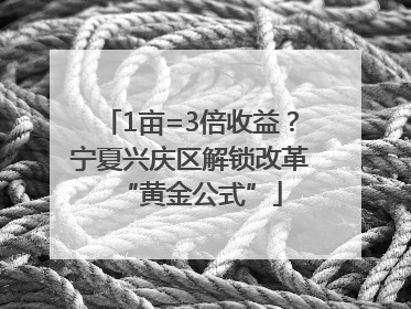 1亩=3倍收益？宁夏兴庆区解锁改革“黄金公式”