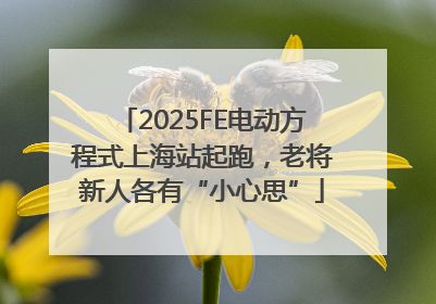 2025FE电动方程式上海站起跑，老将新人各有“小心思”