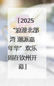 2025“浪漫北部湾 潮派嘉年华”欢乐周在钦州开幕