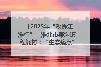 2025年“政协江淮行”｜淮北市渠沟镇程阁村：“生态痛点”变“生态景观”