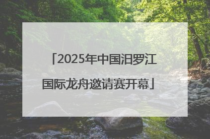 2025年中国汨罗江国际龙舟邀请赛开幕