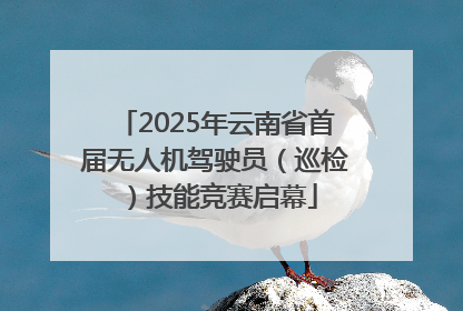 2025年云南省首届无人机驾驶员（巡检）技能竞赛启幕