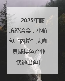 2025年廊坊经洽会：小箱包“圈粉”大咖 县域特色产业快速出海