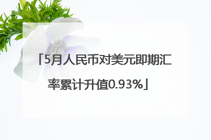 5月人民币对美元即期汇率累计升值0.93%