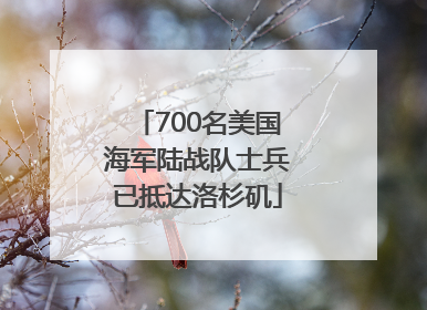 700名美国海军陆战队士兵已抵达洛杉矶