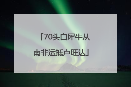 70头白犀牛从南非运抵卢旺达