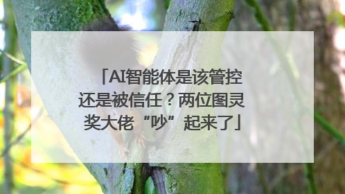 AI智能体是该管控还是被信任？两位图灵奖大佬“吵”起来了